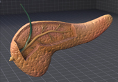 Dr. Patta Radhakrishna-Gastroenterology specialist