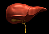 Dr. Patta Radhakrishna-Gastroenterology specialist