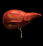 Dr. Patta Radhakrishna-Gastroenterology specialist