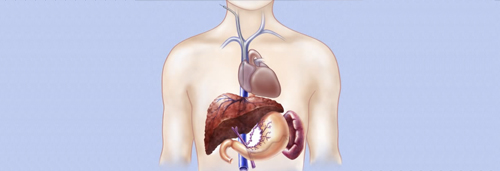 Dr. Patta Radhakrishna-Gastroenterology specialist