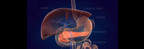 Dr. Patta Radhakrishna-Gastroenterology specialist
