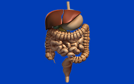 Dr. Patta Radhakrishna-Gastroenterology specialist